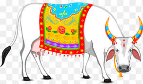 thai pongal makar sankranti wish pongal festival with cow food flower png pngegg thai pongal makar sankranti wish