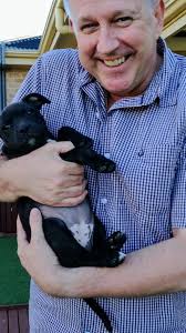 Corio Dental Surgery