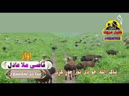 | موژه پشتانه یو#😘😘😘 #ابادی #سوله #لیوانی #سوله #ابادی #🤲🤲🤲 #ابادی #🇦🇫 ️🇨🇭🥰🥰☝️🤲#افغانستان #پختون_خواہ_زما_وطن_دے @shahfaisal46590 Ø²Ù…Ø§ ÙˆØ·Ù† Ø§ÙØºØ§Ù†Ø³ØªØ§Ù† Ø¯Ø¦ Youtube
