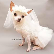 Robe De Mariee Blanche De Mariage De Chien Robe De Demoiselle Etsy In 2020 Dog Wedding Dress Dog Wedding Dog Bridesmaid