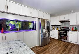 contemporary fish tank kitchen design