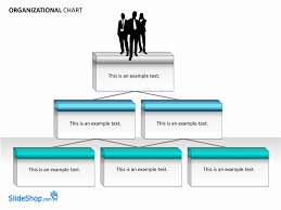 Download Organizational Chart Examples For Microsoft Office