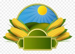 Espiga świadczy kompleksowe usługi serwisu gwarancyjnego i pogwarancyjnego na terenie całej polski, w tym konserwacji urządzeń tak. Clip Art Espiga De Milho Vetor Corn Background Design Hd Png Download Vhv