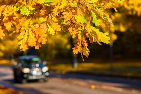 Eine dritte theorie, wann der herbst beginnt, basiert auf der untersuchung periodischer lebenszyklen, verhaltensweisen und ereignisse von pflanzen und tieren. Nach Den Sommerferien Ist Vor Herbst Und Winter Wie Man Sein Auto Auf Die Kalte Jahreszeit Vorbereitet Sparneuwagen De