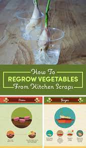 You can grow white asparagus from any variety you choose to propagate! 16 Foods That You Can Magically Regrow From Scraps