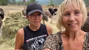 Universal Ostrich Family Update from Katie Pasitney , Lately, there has  been a lot of noise, confusion, and misinformation spreading online — even  personal attacks that cut deep. It’s painful when ...