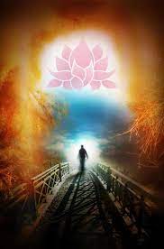 Yes No Oracle - Lotus Tarot Lotus Tarot One Card Tarot Tarot