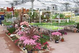 Le site internet gammvert.fr propose plusieurs rubriques de les magasins gamm vert distribuent les articles des marques spécialisées dans les secteurs du. Gamm Vert Aizenay Magasin Du Reseau Jardineries Cavac
