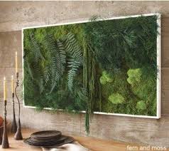 How Can You Make A Fern And Moss Wall Hanging Like This Viva Terra One Moss Wall Art Plant Wall Moss Wall