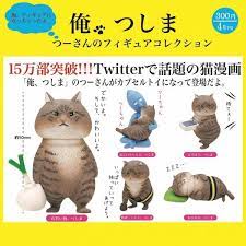 kitan 扭蛋 俺 つしま貓咪公仔 全5種大全 5 cat shop british shorthair christmas gifts toys