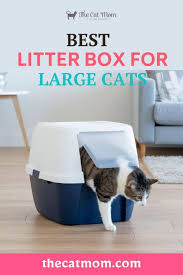 Finding the best litter box for your feline companion means reading reviews, studying product features, and diving into the ins and outs of available people felt it was large enough for any sized cat, and found it easy to clean as the litter just slid out of the box. The Best Litter Box For Large Cats Extra Large Litter Box Reviews In 2020 Best Litter Box Litter Box Litter
