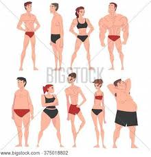 Female body shape or female figure is the cumulative product of a woman's skeletal structure and the quantity and distribution of muscle and fat on the body. Men Women Underwear Vector Photo Free Trial Bigstock