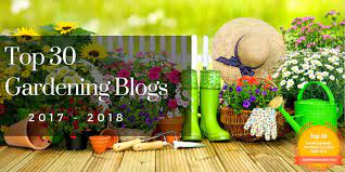 Learn about the best gardening tips, mistakes to avoid, spring harvests, gardening designs, garden tours, and many more! Our Favorite 30 Gardening Blogs To Follow In 2020