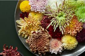 Jul 02, 2020 · 毎年9月9日は「重陽の節句」。別名「菊の節句」とも呼ばれるこの日は、桃の節句（3月3日）や端午の節句（5月5日）と同じ五節句の一つです。無病息災を願って行う重陽の節句の催しについて、由来や食べ物、また他の節句に比べて世間での印象が薄い理由などを紹介します。 é'å±±ãƒ•ãƒ©ãƒ¯ãƒ¼ãƒžãƒ¼ã‚±ãƒƒãƒˆ ç§‹ã®è¡Œäº‹ã¯èŠ±ã¨ä¸€ç·'ã«ãŠã†ã¡ã§æ¥½ã—ã‚‚ã† 9æœˆ9æ—¥ã¯èŠã‚'é£¾ã£ã¦ é‡é™½ã®ç¯€å¥ 9æœˆ21æ—¥ã¯ã†ã•ãŽã¨ãŠæœˆæ§˜ã§ ãŠæœˆè¦‹ ã‚' æ ªå¼ä¼šç¤¾ãƒ'ãƒ¼ã‚¯ ã‚³ãƒ¼ãƒãƒ¬ãƒ¼ã‚·ãƒ§ãƒ³ã®ãƒ—ãƒ¬ã‚¹ãƒªãƒªãƒ¼ã‚¹