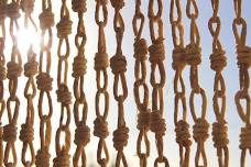 Can You Knot? A Knot Tying Workshop