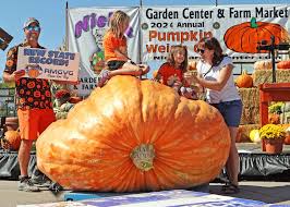 Image result for giant pumpkin