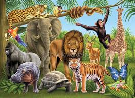 Colin Howard Artwork Puzzles Jungle Animals Pictures Jungle Art Animal Wallpaper