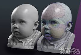 Baby Form By Anatomy4sculptors Character Art 3d Cgsociety Face Drawing Reference Anatomy Sculpture Baby Blocks