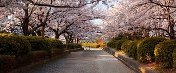 Obituary of Frances Mae Samuels