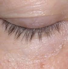 Your question might be answered by sellers, manufacturers, or customers who bought this product. Rapidlash Eyelash Eybrow Enhancing Serum Reviews Photos Ingredients Makeupalley