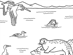 They include the cetaceans (whales and dolphins), pinnipeds (seals, sea lions, and walrus), sirenians (manatees and dugongs), sea otters, and even the polar bear. Marine Mammals Coloring Pages