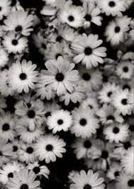 Which core aesthetic do you remind me of? 35 Idee Su Sfondi Grigi Sfondi Grigio Carta Da Parati Grigia