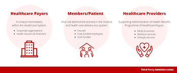 Bozukluklar federasyonu dünya kongresi standımız. Third Party Administrator Tpa Managed Care Organization Mco Medilink Global