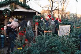 Christmas tree shops is a retail chain that started in yarmouth port, massachusetts on cape cod in 1970 as a complex of three small stores; Where To Buy Christmas Trees In East London Roman Road Ldn