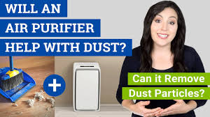 Best air purifier for bedroom germs: Will An Air Purifier Help With Dust Can Air Purifiers Remove Dust Youtube
