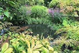 Botanischer garten münchen die 21 hektar große gartenanlage zählt zu den artenreichsten pflanzensammlungen in deutschland. Botanischer Garten Osnabruck Grunstes Ausflugsziel Der Domstadt