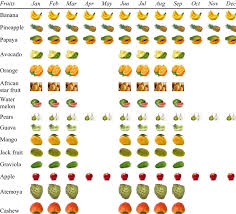 Seasonal Fruits In Ghana See Online Version For Colours