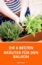 Die 6 Besten Krauter Fur Den Balkon Balkon Pflanzen Krauter Anpflanzen Krauter Pflanzen