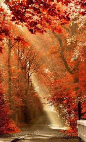 Pin By Paul Rckey On Lovefall Beautiful Nature Autumn Beauty Nature Photography