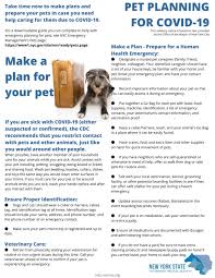 Maybe you would like to learn more about one of these? Amherst Small Animal Hospitalamherst Small Animal Hospital Phone 716 839 1100