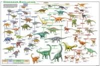 dinosaur breeds chart 5 4 lecture notes