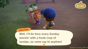 Animal Crossing: New Horizons Turnip Exchange: Prices, Patterns And Storage  Options Explained