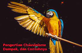 Definisi chauvinisme menurut wikipedia adalah suatu bentuk ajaran mengenai cinta terhadap tanah air secara. Pengertian Chauvinisme Dampak Dan Contohnya Dosensosiologi Com