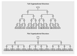 Importance Of Span Of Control Organizational Structure