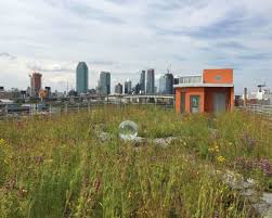 Maybe you would like to learn more about one of these? Urban Garden