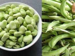 Ibrahim Saracoglu Bakla Kuru Parkinson El Titremesi Vegetables Food Beans