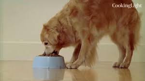 10 brands with most dog food recalls 1 blue buffalo founded in 2002, blue buffalo advertises their products as a higher end, higher quality pet food option. Fda Expands Massive Dog Food Recall Due To Vitamin D Toxicity Cooking Light
