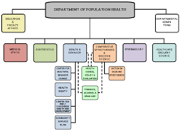 27 unfolded home health organizational chart