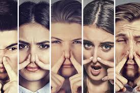 Der Geruch des Ressentiments