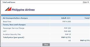 Airplane Ticket Sample United Airlines And Travelling