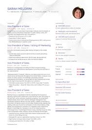 Resume format pick the right whether your thing is iaas, paas, saas, or all of the above, you may still find yourself scratching your. Top Vp Of Sales Resume Examples Samples For 2021 Enhancv Com