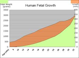 fetal growth chart helps fetal growth assessment