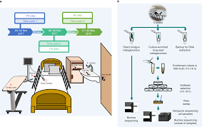Health center 21 is in mesaimeer al wafideen health centre. Cartography Of Opportunistic Pathogens And Antibiotic Resistance Genes In A Tertiary Hospital Environment Nature Medicine