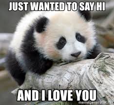 Just wanted to say hi. Just Wanted To Say Hi And I Love You Sad Panda Meme Generator