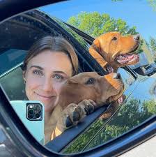 Spring Veggie Cottage Cheese Dip