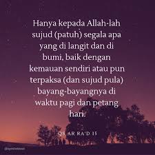 Surat al bayyinah ( keterangan ) madaniyah, 8 ayat. 204 Juz 13 Quran Surat 13 Ar Ra D Ayat 8 18